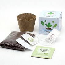 틔움세상 화분재배키트 팜팜농장시리즈 모종 키우기채소밭 텃밭 화분 재배 미니정원 정원 아파트 베란다 옥상 마당 모종 유기농 친환경 어린아이 학습 가든 가드닝 씨앗 모종 채소키우기, 상추