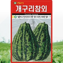 개구리 참외 씨앗 개구리참외 씨 종자 50립, 단품