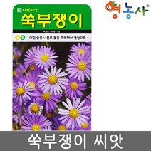 아람 우슬씨앗 500립, 단품