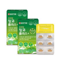 은행잎추출물 플라보놀배당체함유 일양징코30정x2박스, 2개(2개월분), 상세페이지 참조, 30정