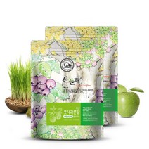 산들해 국산 풋사과분말 새싹보리혼합, 2개, 500g