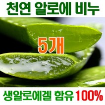 [오후5시 당일발송] 고농축 알로에비누 촉촉촉 보습진정 에너지 생 알로에천연비누 세수비누 비누 알로에 세안비누 천연 얼굴 YB맘, 5개, 100mg