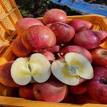 푸릇푸릇해 안동 자연 새콤달콤 부사 사과, 10kg - 새콤달콤 중과(32-34과)