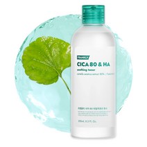 프랭클리 병풀 시카 80% 토너, 250ml, 1개