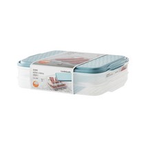 락앤락 튼튼해서 오래 쓰는 냉동용기 직사각 2.4L x 2p, 4세트, 단품