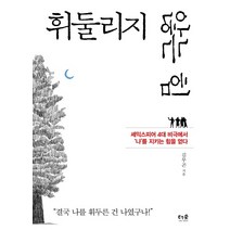 휘둘리지 않는 힘:셰익스피어 4대 비극에서 ‘나’를 지키는 힘을 얻다, 더숲, 김무곤
