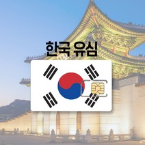 한국 유심 LTE 완전무제한 7일 30일 국내 KT SK 여행 출장 선불 유심칩, SKT KT 매일 2GB, 3일