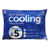 861013 코스트코 알러리스 쿨링 베개 2P