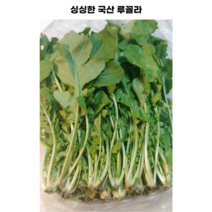 국산 로케트 루꼴라 1kg 샐러드 채소 싱싱한 루콜라 로켓 아라굴라 arugula 이탈리아요리 아루굴라 피자 스파게티, 1개
