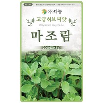 썸머 세이보리 1g - 허브 허브씨 허브씨앗 씨 씨앗 세이보리씨앗 세이보리씨 꽃씨 꽃씨앗 허브꽃 Savory, 16_다농_마조람(0.5g)