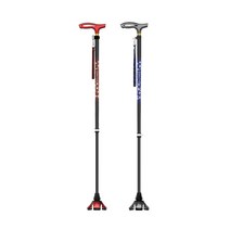 비나띠 서있는 지팡이 SS-01 02, 다크 그레이