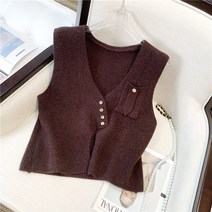 가을 학원풍 브이넥 디자인 소소한 민소매 니트 베스트 아우터 스웨터