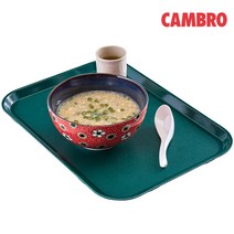 캠브로 사각 논슬립 에픽트레이, 다크그린(206)