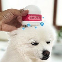댕댕이 여름나기 강아지 쿨링빗 댕쿨, 민트