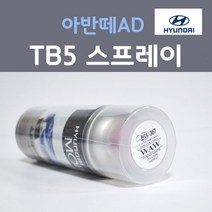 순정품 현대 아반떼AD TB5 틸블루 주문컬러 스프레이 자동차 차량용 카 페인트, 1개, 200ml