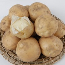 22년 햇감자 포슬포슬 수미감자, 중, 10kg