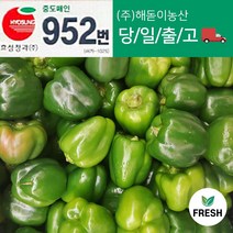 <해돋이농산> 국내산 못난이피망 초록피망 청피망 1kg 3kg 5kg 10kg” class=”wr-img”></a></div></p></div></p></div></p></div><div class=