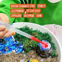 초등 유아 미술 키트 공룡 화산폭발놀이 실험 스몰월드 만들기 [플랜에이캠퍼스], 키트+공룡 컬러링세트(공룡모형 6종+물감+붓)
