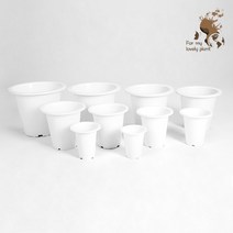 현애분 빅사이즈 6~9호 깊이감 있는 재배 분갈이 화분, 백색