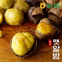 [프레시데이] [농협] 햇밤 순창 알밤 특대 2kg (제수용), 상세 설명 참조, 상세 설명 참조