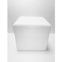 [중형/낱개] 택배 포장 아이스 스티로폼박스 샘플 소량 아이스박스 다조은포장, 옵션2 w-2호