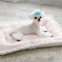 말썽쟁이여름 강아지 애견 개 펫 고양이 애완견 중형견 노견 마약 꿀잠 사각 쿠션 집 켄넬 에어 매쉬 방석, 핑크