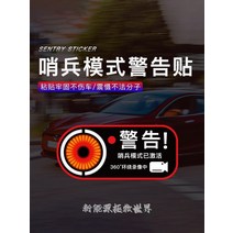 수입자동차 소모품 부품 테슬라 센트리 모드 변경 장식 경고 스티커, 4장