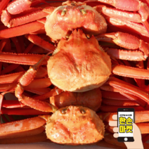 포항 대게 맛집 붉은 홍게 (영덕 울진 포항 연지 홍게 박달 홍게 3kg), (육수용) 홍게다리 1.5kg, 1개