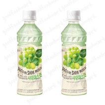 웅진 자연은 샤인머스캣 340ml (48펫), 48개
