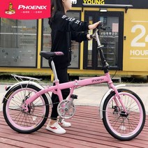 남성 여성 접이식 mtb 산악 티타늄자전거 다혼스피드D9 제트스트림 팻바이크 스타일 STYLE, 20인치, I