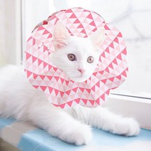 강아지 고양이 중성화 수술 후 관리 넥카라 일회용.제이케이엠티알, 일회용넥카라2매입(랜덤발송)