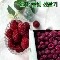 포항에서 온 새콤달콤한 산딸기 500g 1kg 2kg 4kg 흑딸기 새콤달콤 요거트 꿀, 급냉 산딸기 4kg
