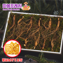 따봉프레시 30년 심마니 백화점용 황제 산양산삼 선물세트 당일발송, 1개, 6호