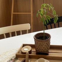 [모비딕컴퍼니] 새싹보리재배 재배세트 수납바구니 발코니선반 내추럴용기 감성소품 phiao, 잇★ 라탄 대나무 원형 미니 화분 바스켓 대나무바구니, [좋아요]