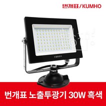 번개표 LED 투광기 30W 흑색 IP65 방수인증, 주광색, 1개