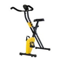 스핀바이크 가정용 싸이클 엑스 실내 자전거 접이식, 베이직 오렌지