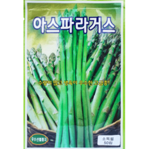아스파라거스 씨앗 텃밭 주말농장 야채 채소 씨앗 종자