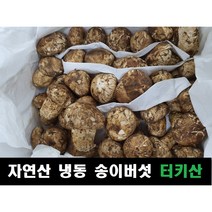 자연산느타리버섯 가격 검색결과