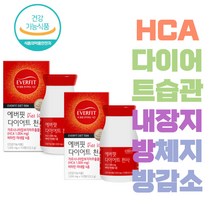 체지방감소 30대 다이어트 천사 허리둘레감소 다이어트보조제 가르시니아 다이어트1004 HCA 비타민 지방억제 아연 배변활동 20대여성