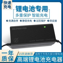 리튬 배터리 전기 자동차 충전기 48V36V60V24V2A72V 트램 이온 할리 밸런스 유니버설, 48V2A DC 헤드