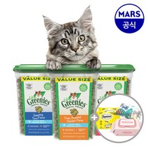 필라인 그리니즈 276gx2개+템테이션간식+캣닢쿠션+물티슈, 맛1:닭고기맛 276g|맛2:닭고기맛 276g