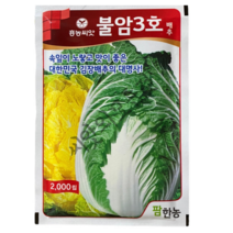 불암3호 배추씨앗 2000립 속잎이 노랗고 맛이좋은 대한민국 김장배추의 대명사 22년포장