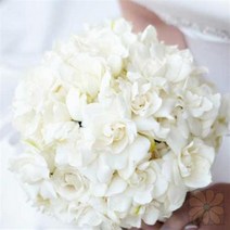 [더위치]가드니아 캔들향 500ml / 치자꽃 캔들향