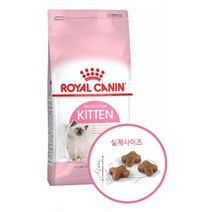 로얄캐닌 캣 키튼 2kg 어린고양이 사료