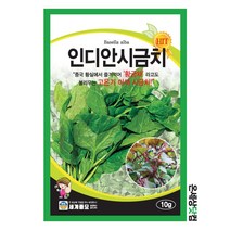 인디안시금치 10g / 시금치 채소 종자 텃밭 황궁채 이색시금치, 1개
