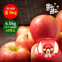 달아달아 정품 미시마 세척사과 4.5kg(17-20과) 2박스, 단품