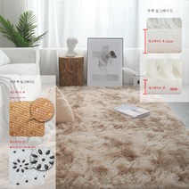 DFMEI ins 양탄자 침실 더러움 방지 침대 옆 카펫 깔린 거실 넓은 면적에 방 장식물을 깔고