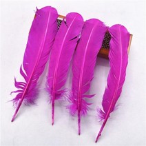 인테리어 조화 깃털 크리스마스 장식용 긴 칠면조 DIY 머리띠 크리에이티브 레저 웨딩 천사 날개 헤어 액세서리 10 개묶음, Rose Red feathers+10pcs