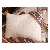 호텔그랜드 오리털 페더베개 2P 점보사이즈 코스트코