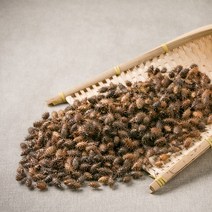 국산 도꼬마리(창이자) 300g 한방재료 한약재, 12XP_국산 도꼬마리 300g